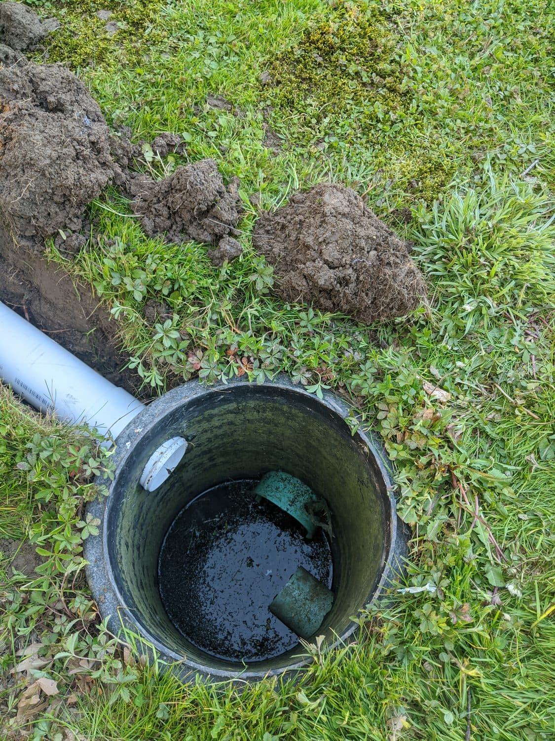 Exterior drywell basin set in the yard with a drain line routed to it